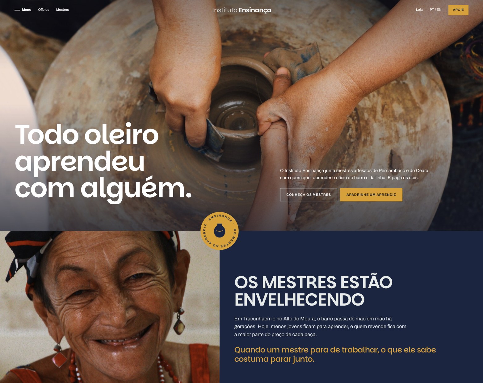 Instituto Ensinança concept homepage, opens the live concept