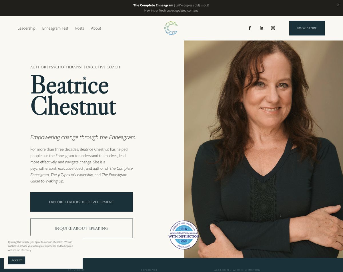 Beatrice Chestnut homepage, opens the live site