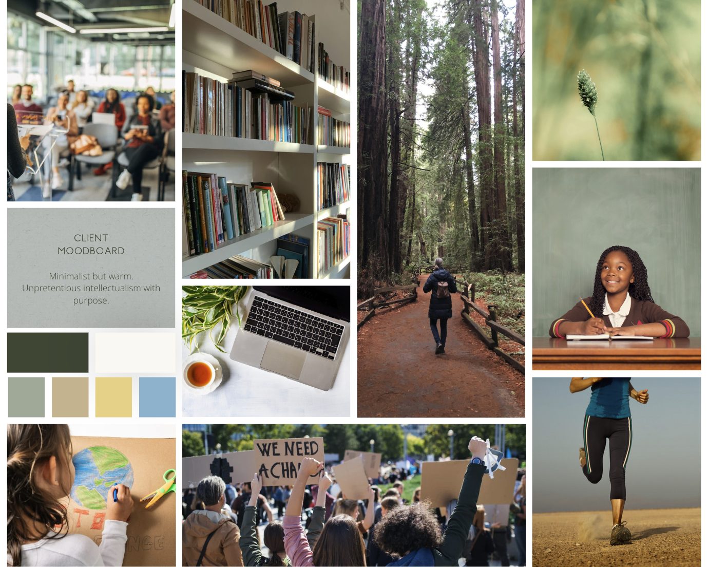 Mood board with library, redwood path, students, and a sage, sand, and sky palette