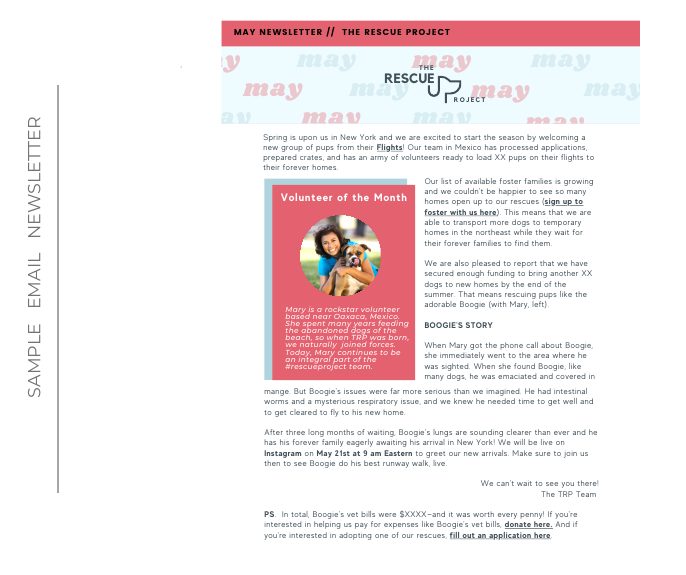 Email newsletter