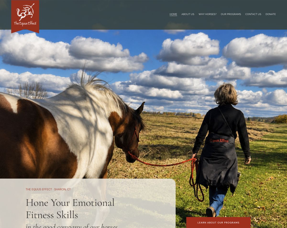 The Equus Effect homepage, opens the live site